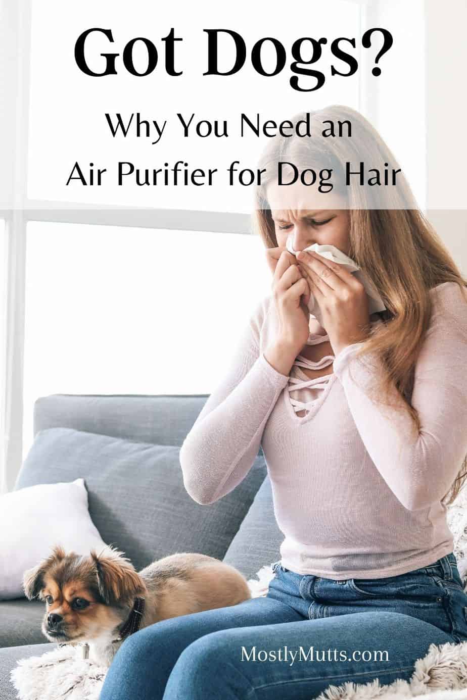 Got Dogs? You Need An Air Purifier for Dog Hair MOSTLY MUTTS