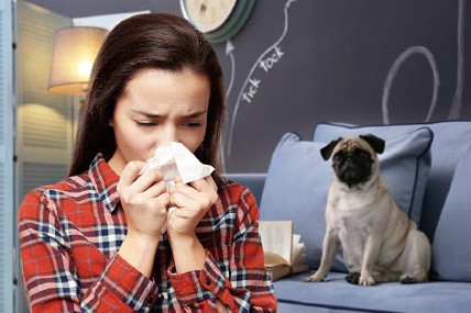 Allergy To Dogs Does Not Mean You can’t Have a Dog