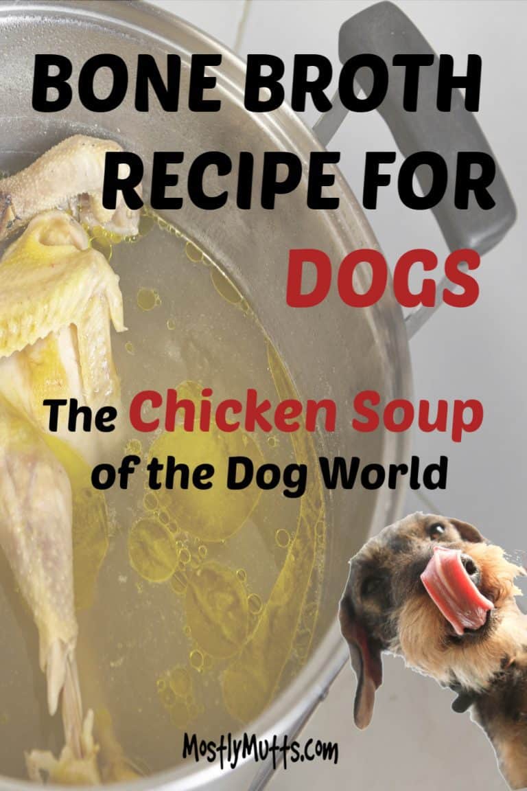 Bone Broth for Dogs Good Health MOSTLY MUTTS