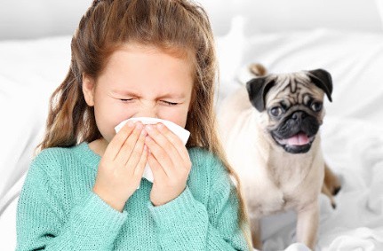 child allergic to dog