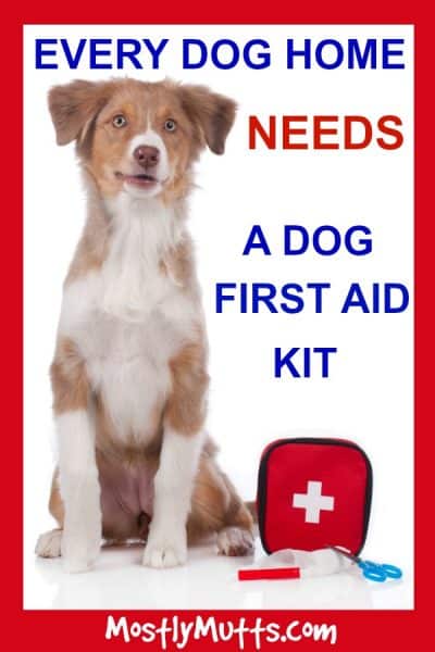 First Aid Kit For Dogs-Be Prepared For Any Emergency - MOSTLY MUTTS