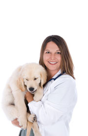 lady_vet_with_with_golden_puppy